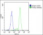 MyD88 Antibody (Center)